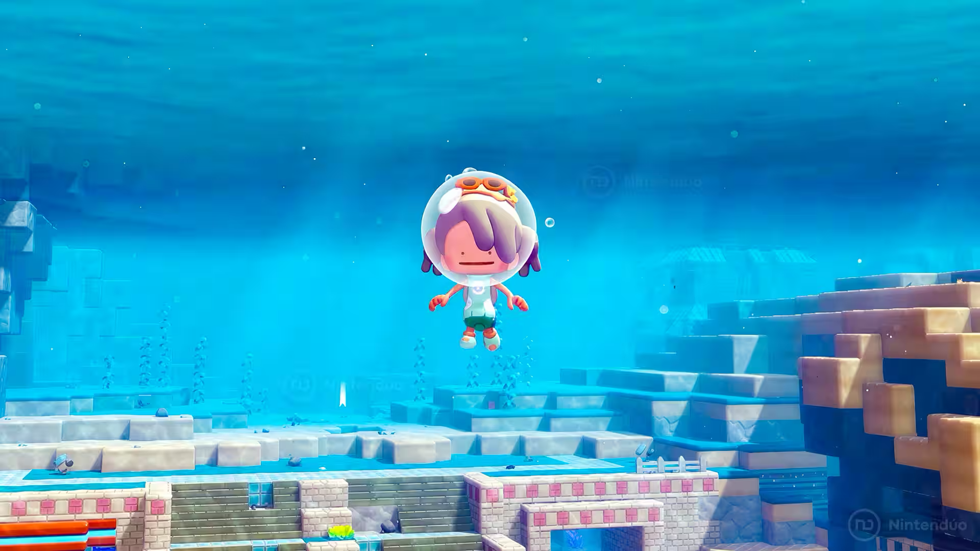 Ditto using the hidden Dive controls in Pokemon Pokopia for Switch 2