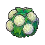 Damp hedge (white)