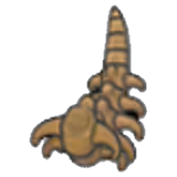 Headbutt Fossil (tail) x1