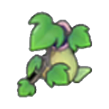 Pitcher-plant pot x1