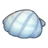 Seashell