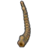 Tundra Fossil (tail) x1